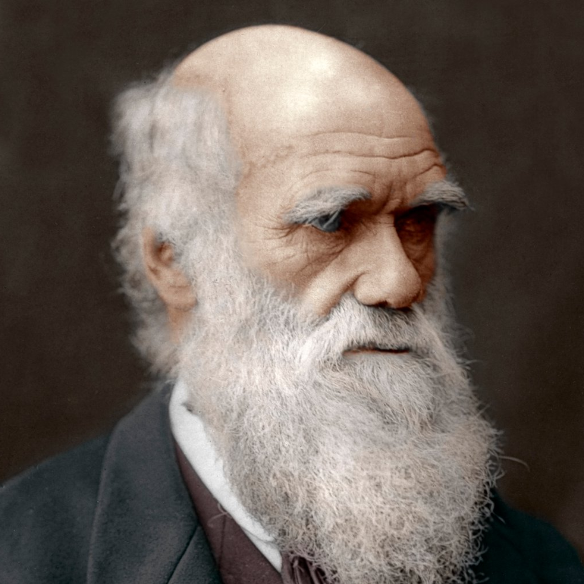 Charles Darwin - Naturforscher und Begründer der Evolutionstheorie