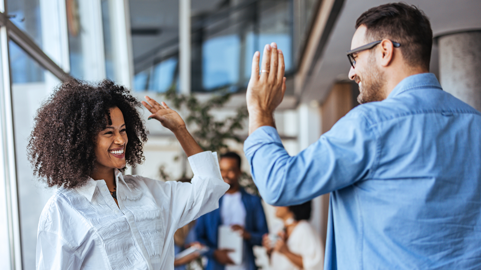 Teamentwicklung-Training - Durch Teamentwicklung zum Hochleistungsteam - Teammitglieder beim High Five